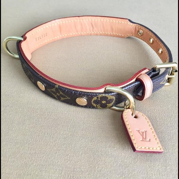 baxter dog collar pm